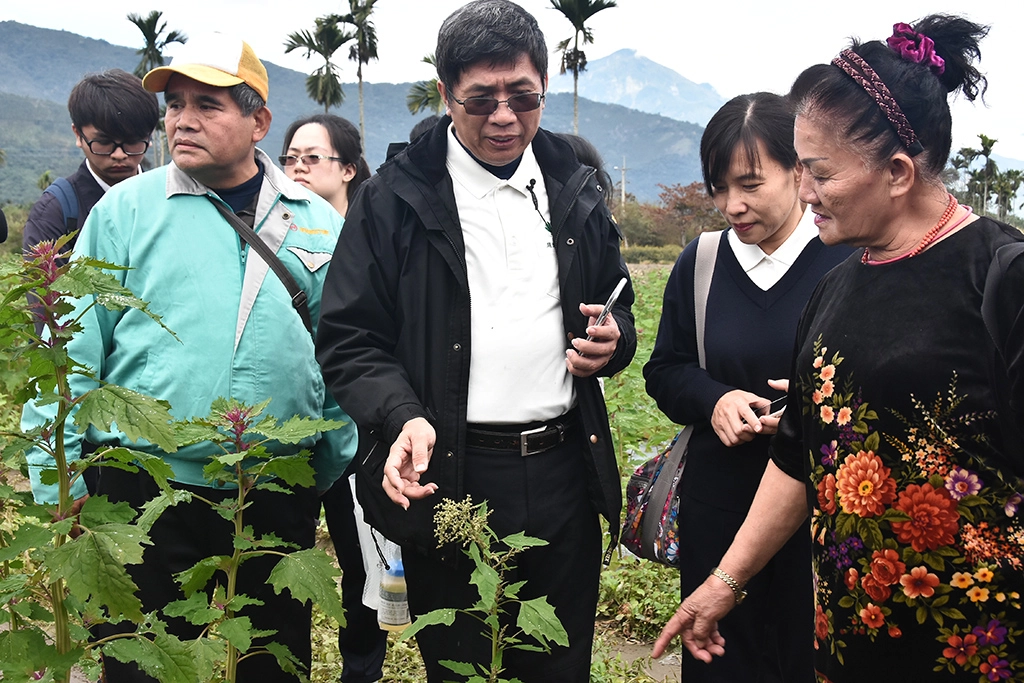 農業生醫團隊免費輔導花東農民栽種、加工、行銷,幫助小農改善生活。