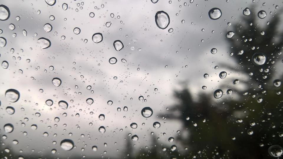 最近常下雨,身體容易因濕氣而變得沈重,加上天氣又忽冷忽熱,免疫系統容易出問題。