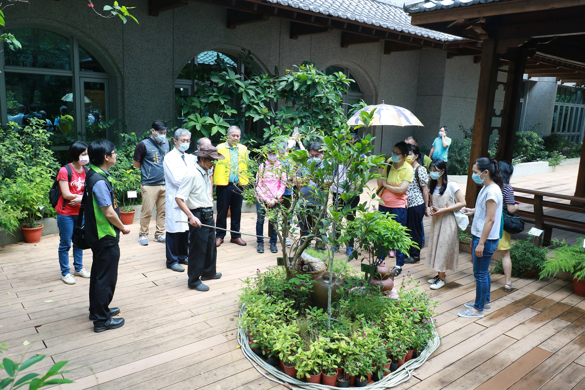 臺中市藥用植物研究會前理事長林進文作閉幕導覽,為「大坑藥用植物特展」點下完美句點。
