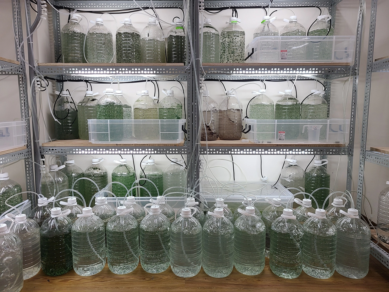 慈濟科技大學團隊研發的雨來菇培養裝置,可大量提供給農民栽種。