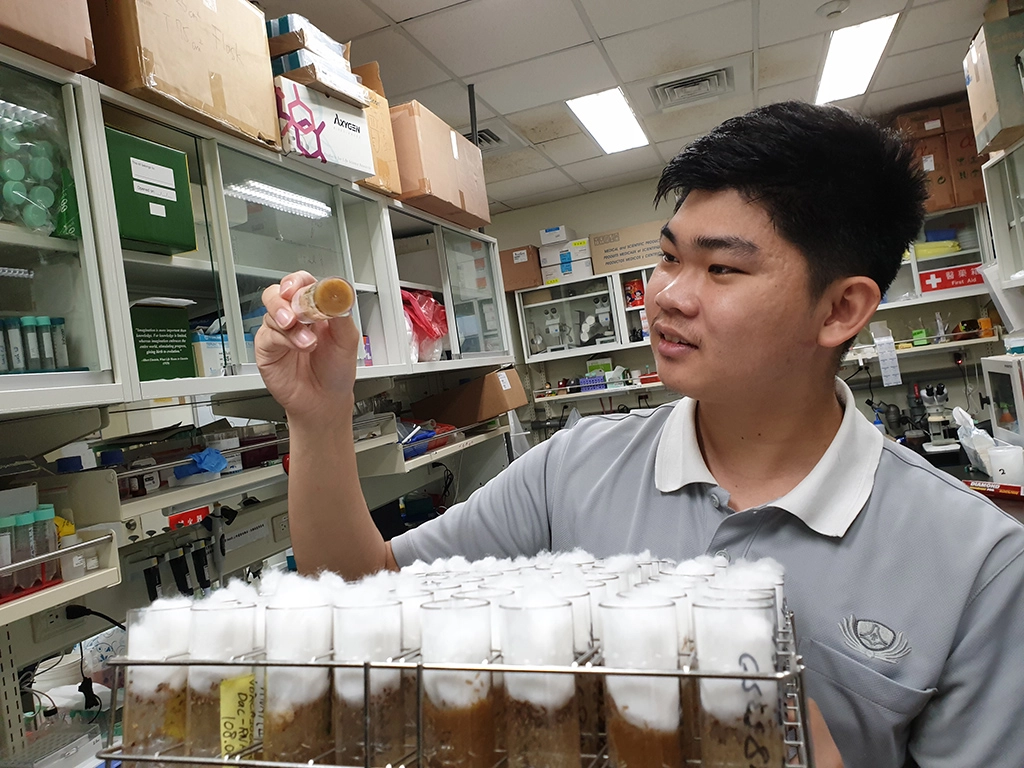 Anthony選擇五年一貫繼續研讀研究所,今年畢業獲得最佳學科獎(第一名)。