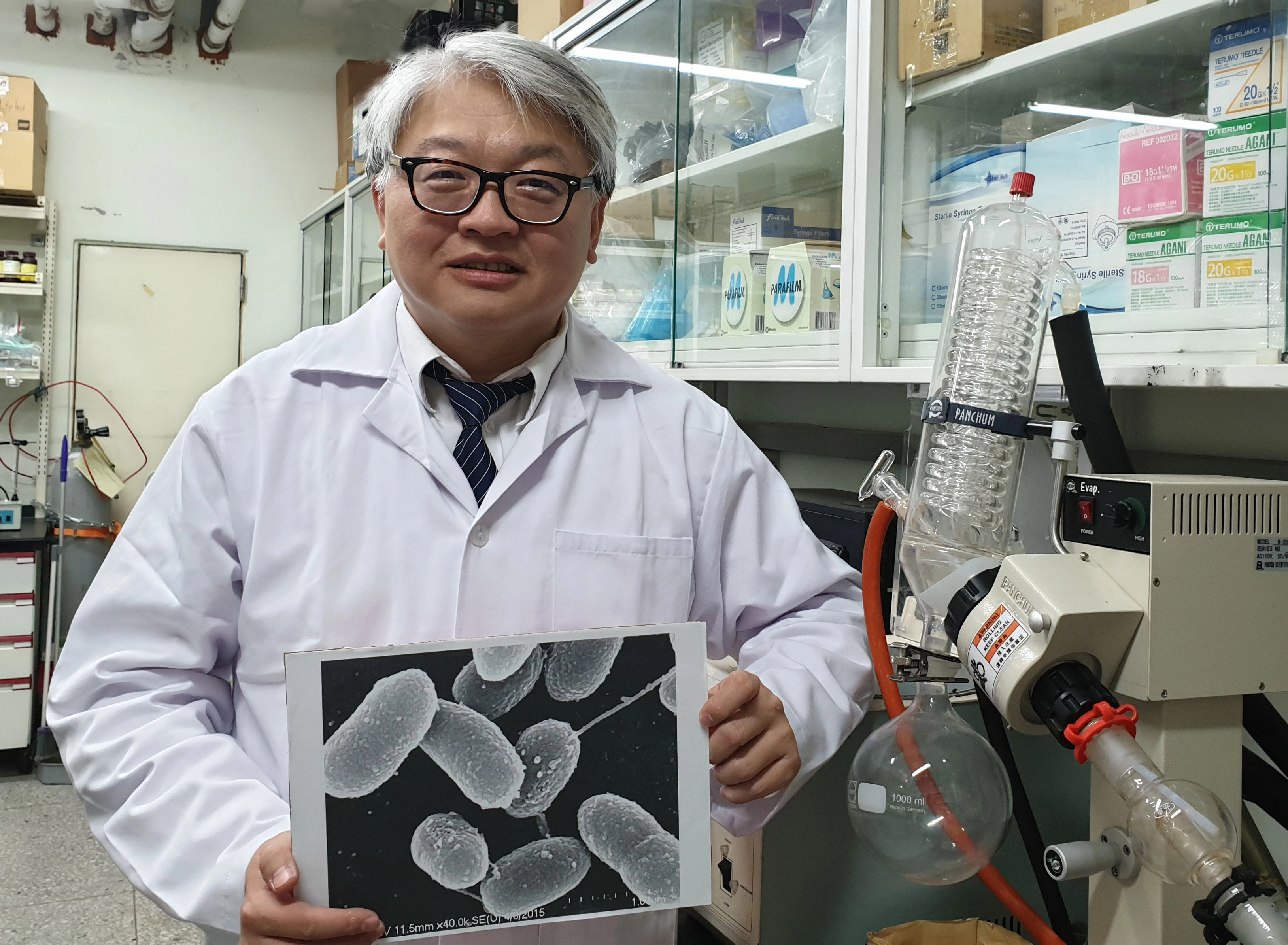 慈濟大學醫學系陳灝平老師目前正在進行相關的研究,他的研究結果發現,『金創膏』具有刺激人類表皮細胞株細胞增生與傷口癒合的能力,對人類內皮細胞株也有刺激血管新生的活性。由於豬的皮膚結構與人很接近,動物實驗的結果顯示,與對照組相較,不僅傷口癒合較快,傷口下的血流量也明顯較高。
