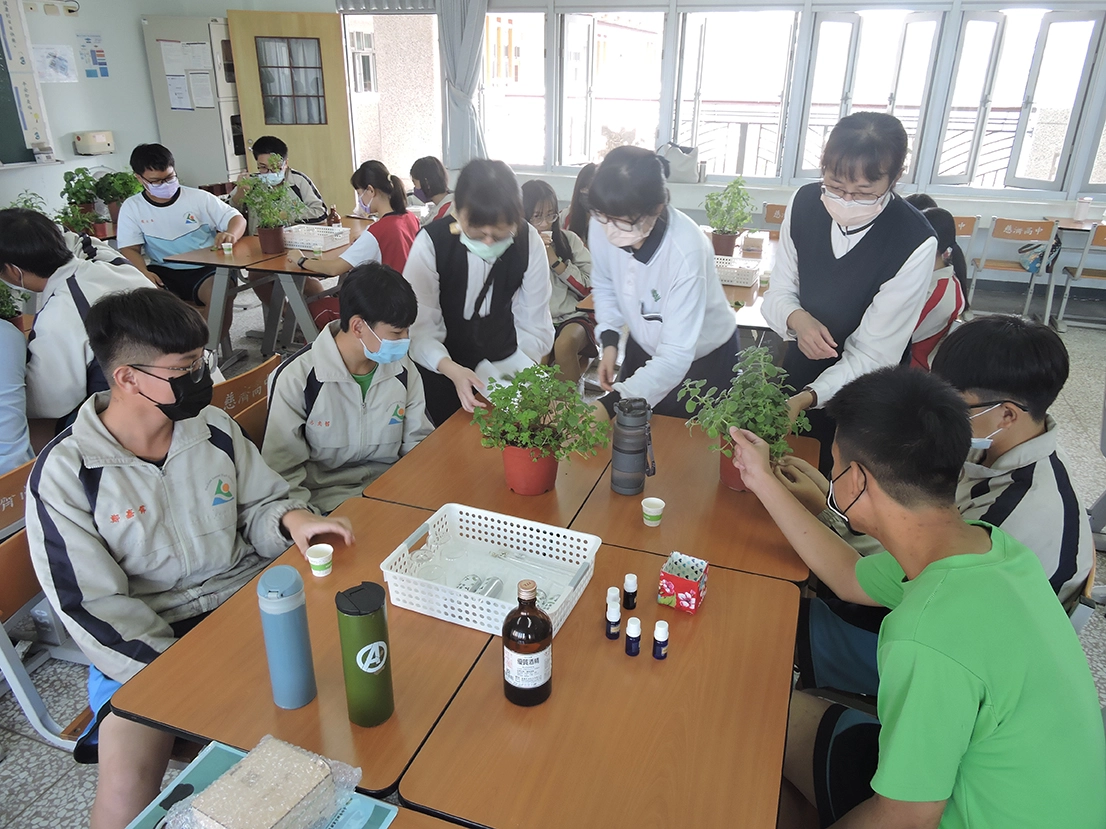 香草植物玩起來讓學生認識常見的香草植物,並製作防疫精油。(圖楊淑青)