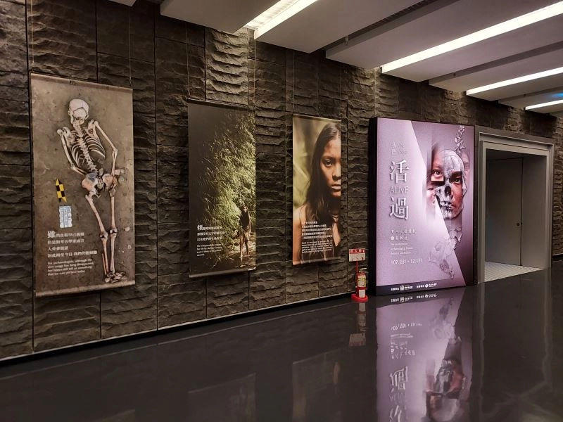 「我們活過:考古人骨遺骸暨墓葬展」展廳。
