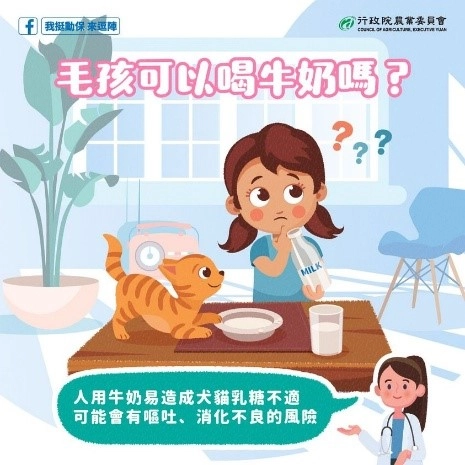 牛奶易造成犬貓乳糖不適,可能會有嘔吐、消化不良的風險(取自行政院農委會的我挺動保來逗陣粉絲專頁)。