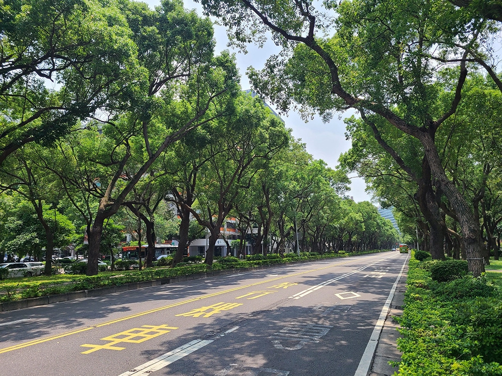 從松山機場進入臺北市區,第一個映入眼簾的林蔭大道就是敦化北路。