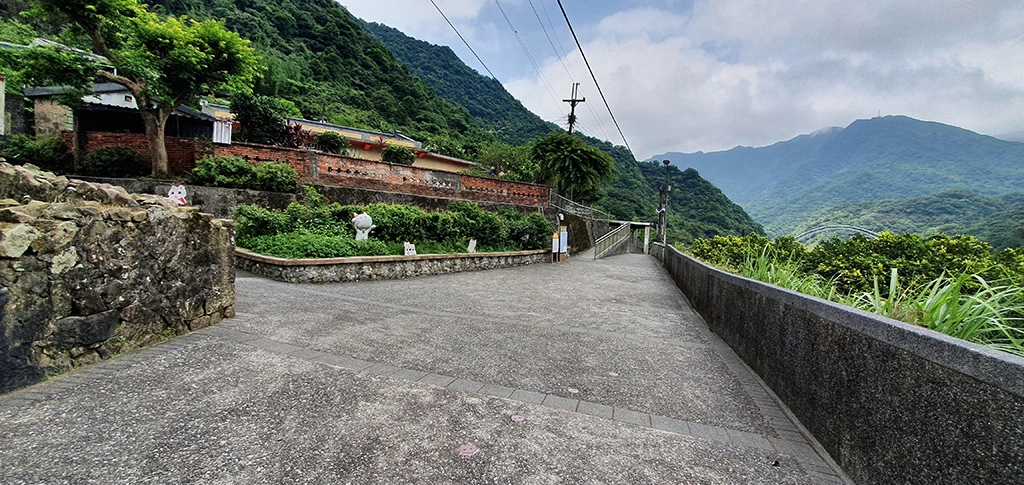 貓村貓隻都知道要減少外出了,也請民眾跟貓隻一起抗疫。