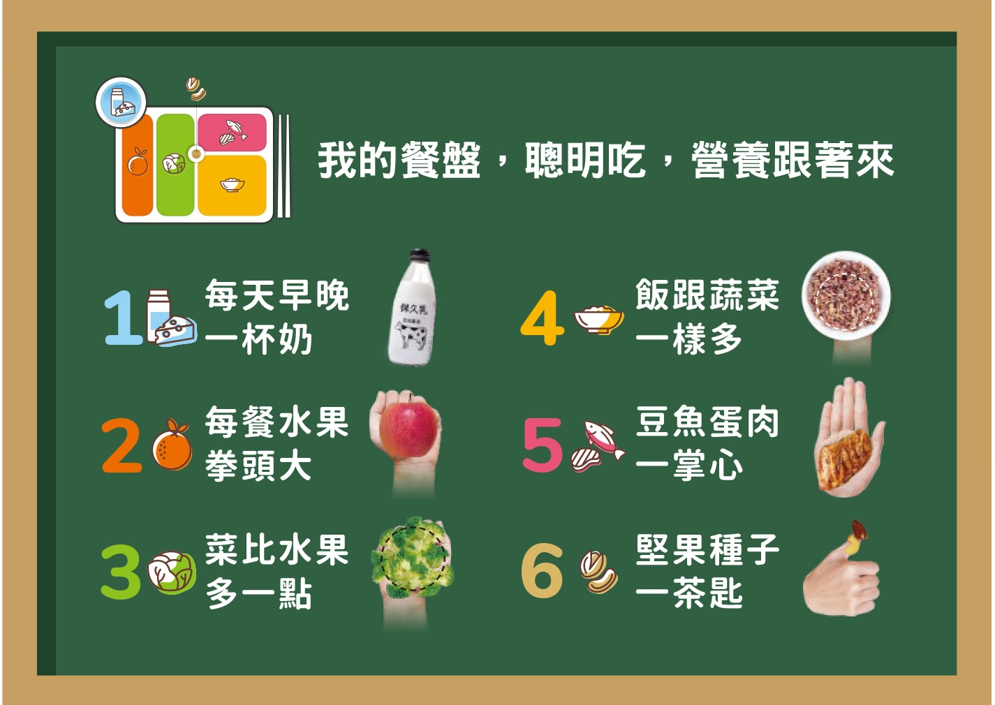 高齡營養飲食質地衛教手冊內容:我的餐盤