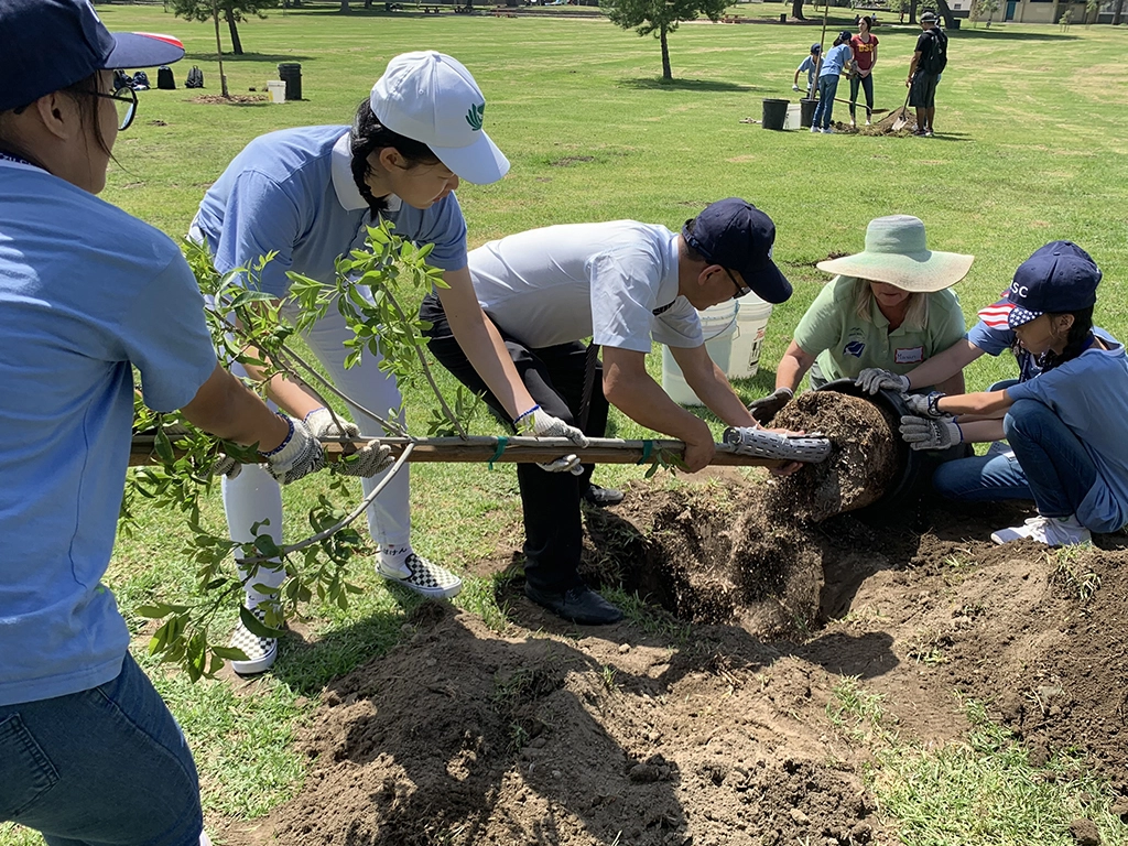 美國遊學團規劃萊湖公園種樹活動,孩子親手植下一棵樹,用行動實踐,一起保護環境。