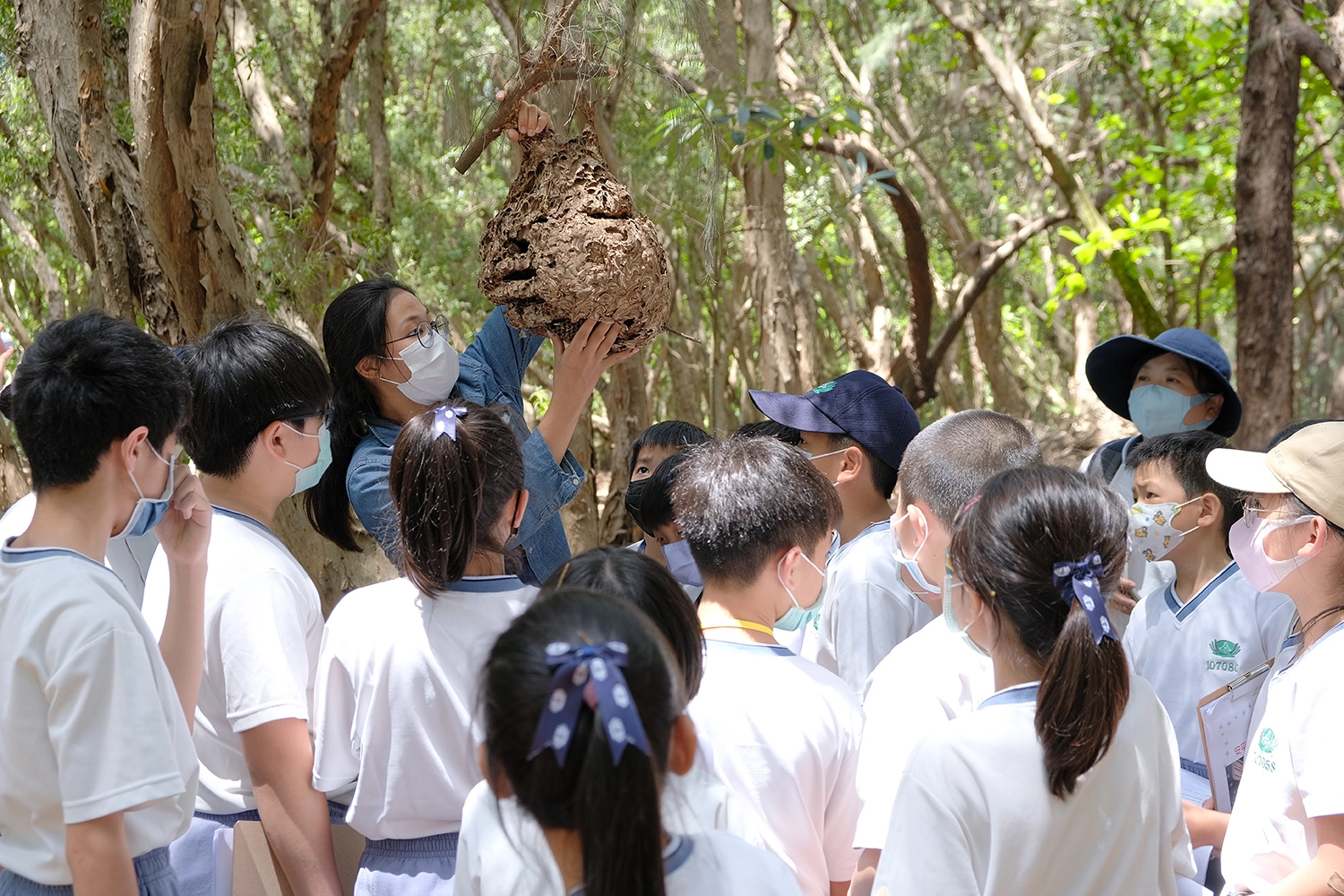 植物專家向孩子介紹,大自然中最厲害的建築師的作品(蜂巢)。陳天和攝