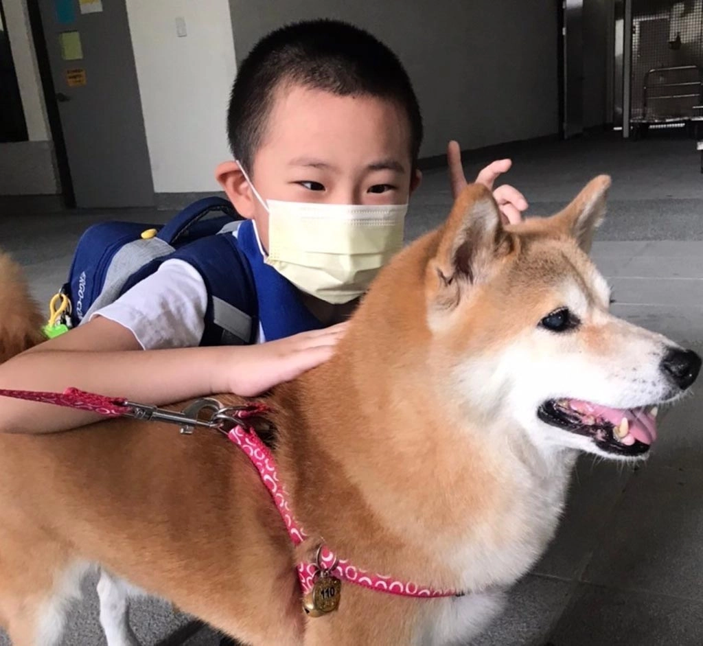 小銘喜歡擁抱布丁,心中吶喊:你是我的好麻吉!