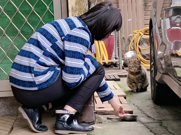 程小姐住家庭院旁是菜園,喵星人常進到車庫內玩耍。