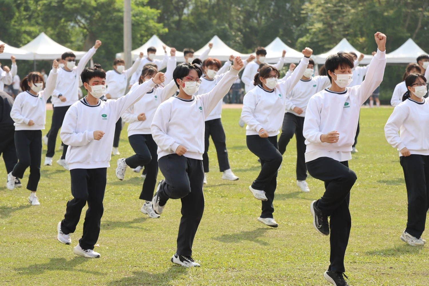 高一武林手。