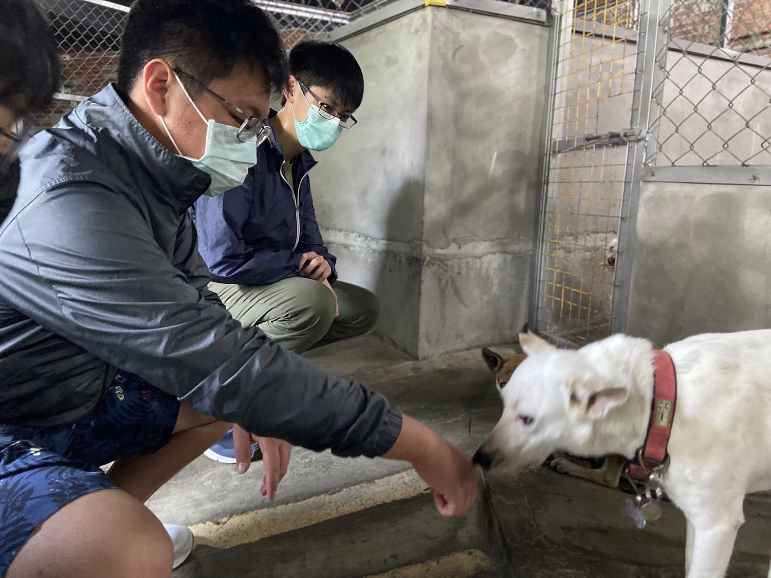 讓「豆腐」嗅、聞志工的手,建立關係。