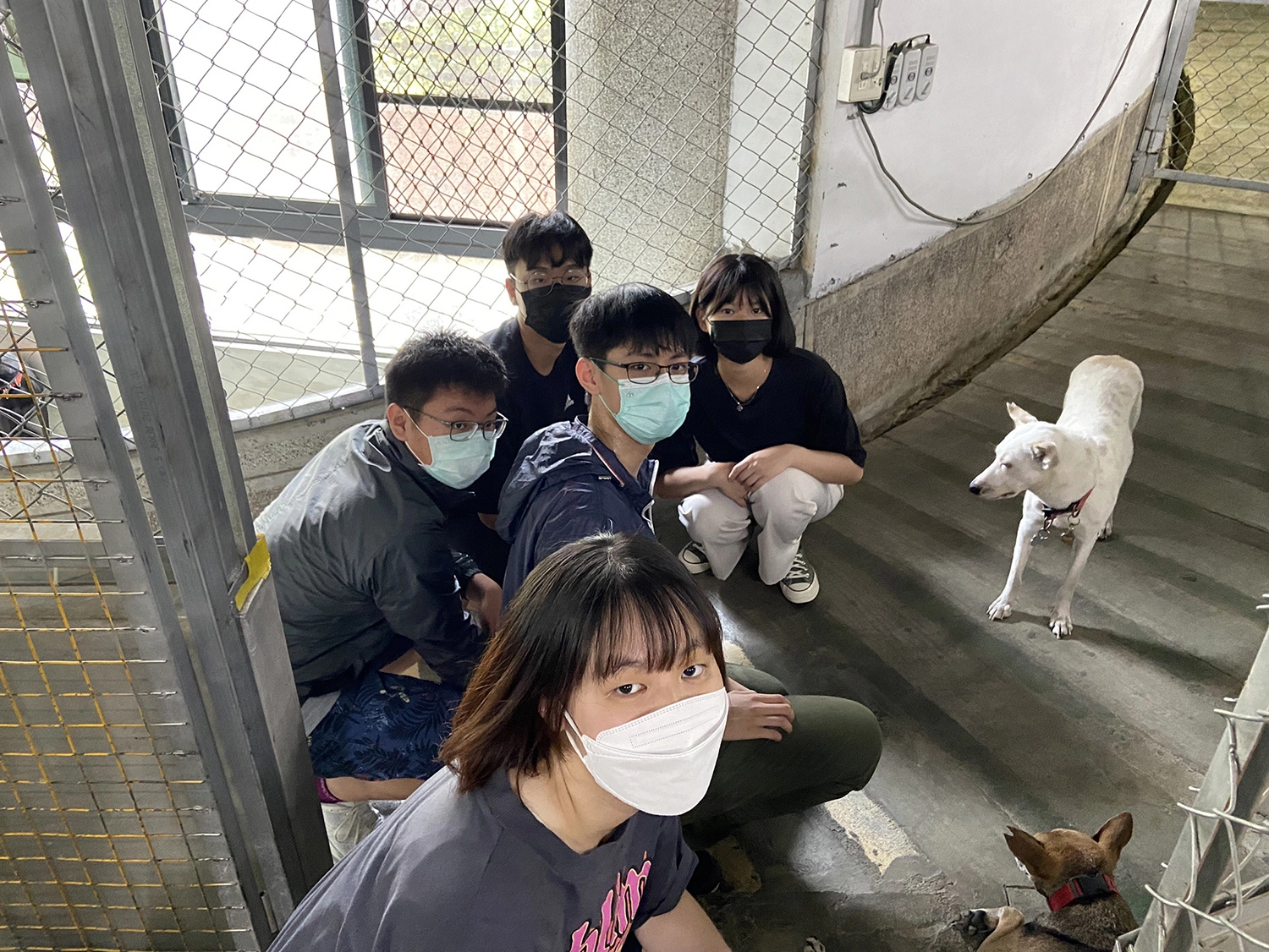 參觀各犬舍的生活空間,花時間和犬隻互動及培養信任。