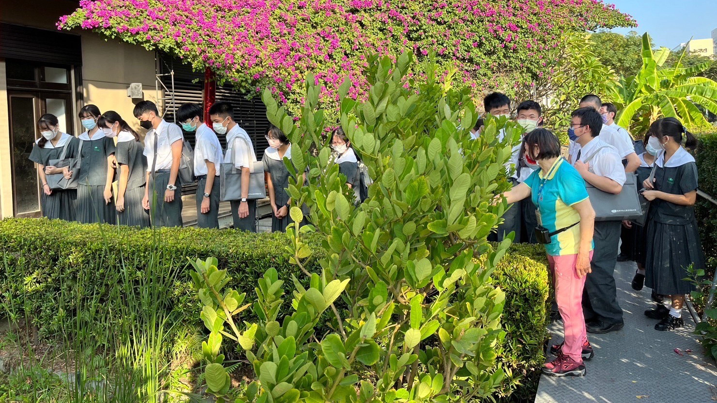 生態水池,可以降溫,也提供許多小生物棲息。