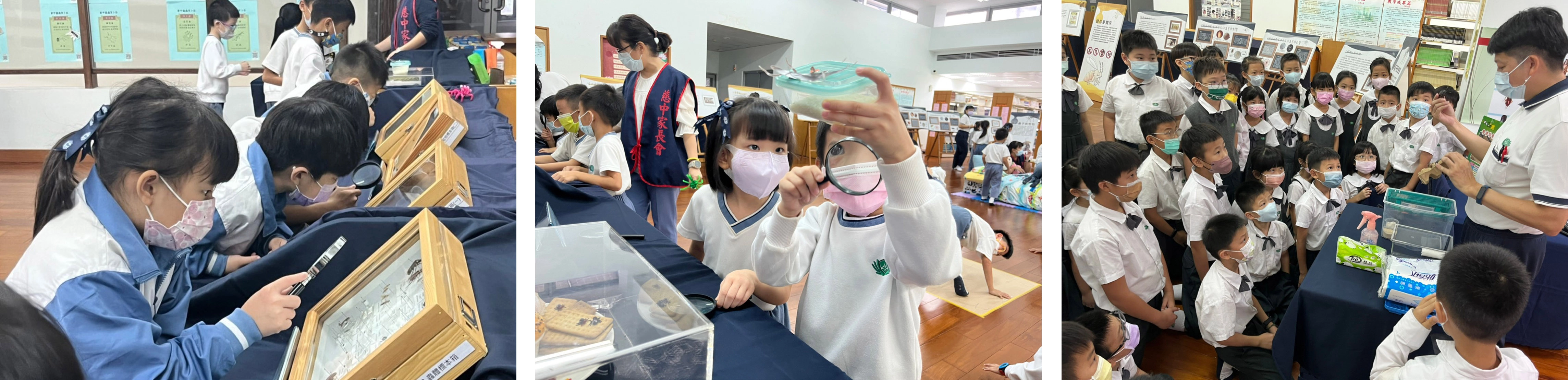 學生們仔細地使用放大鏡觀察節肢動物標本。/學生們仔細地使用放大鏡觀察節肢動物標本。/學生專注聆聽蟑螂達人政宏老師說明並示範如何更清掃蟑螂便便。