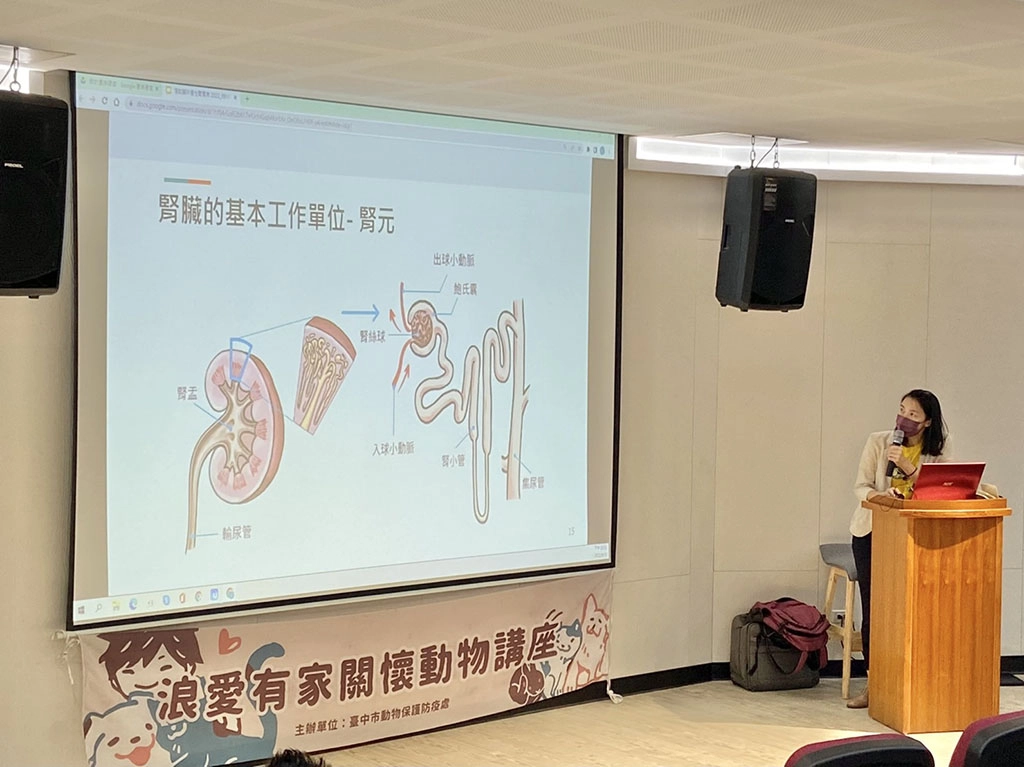 貓奴不可不知的貓慢性腎臟病。