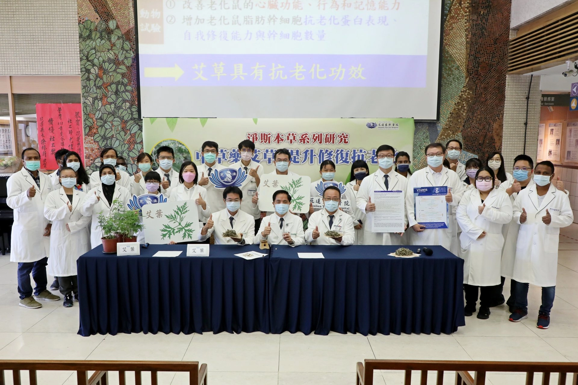 花蓮慈濟醫院院長林欣榮帶領副院長何宗融、黃志揚，與中醫部、心血管暨粒線體相關疾病研究中心團隊，研究淨斯本草飲配方中的主要成分「艾草」，發現的艾草的水萃取物可穩定幹細胞狀態，改善老年老鼠的整體健康狀況，並發表於美國老年醫學權威期刊《Aging》。