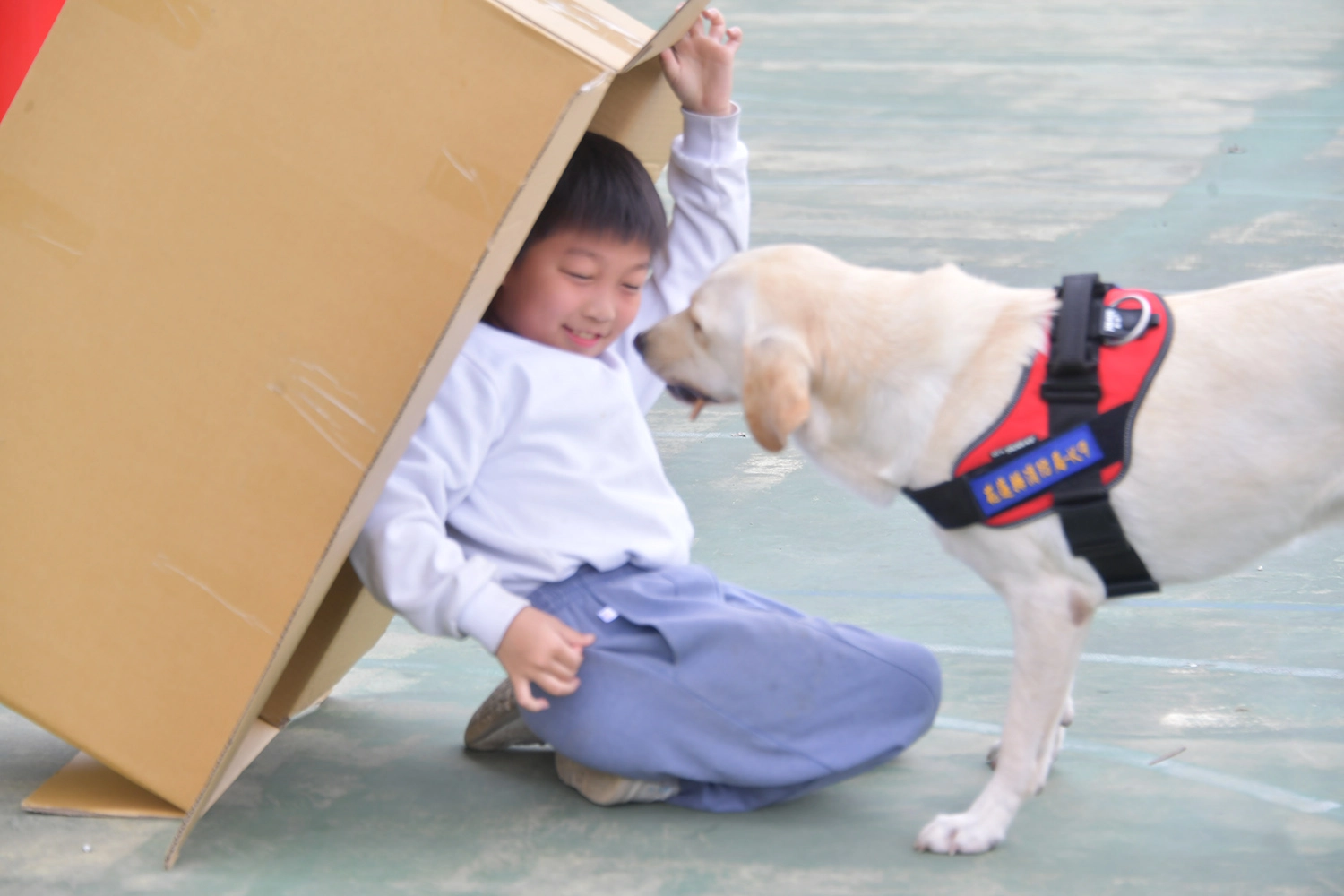 搜救犬-Hero實際演練整個搜救過程,讓學生們驚呼連連。