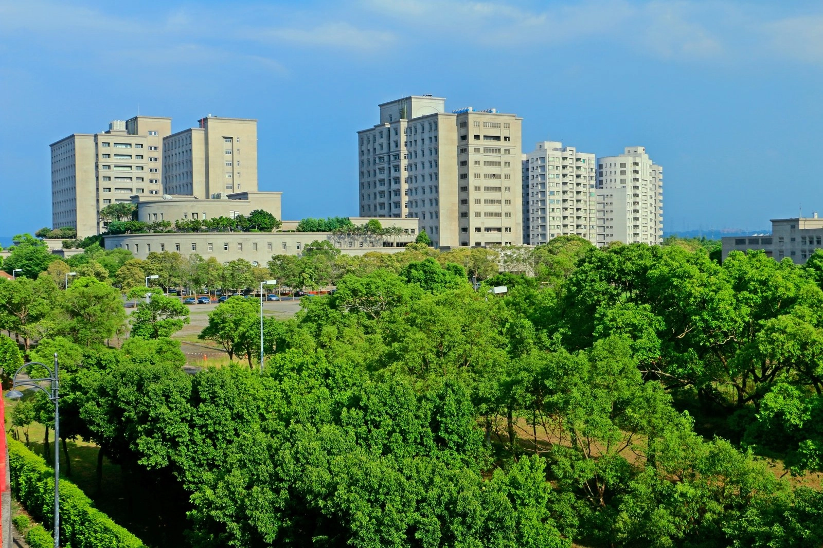 大林慈濟醫院院區廣植樹木,是名符其實綠色醫院