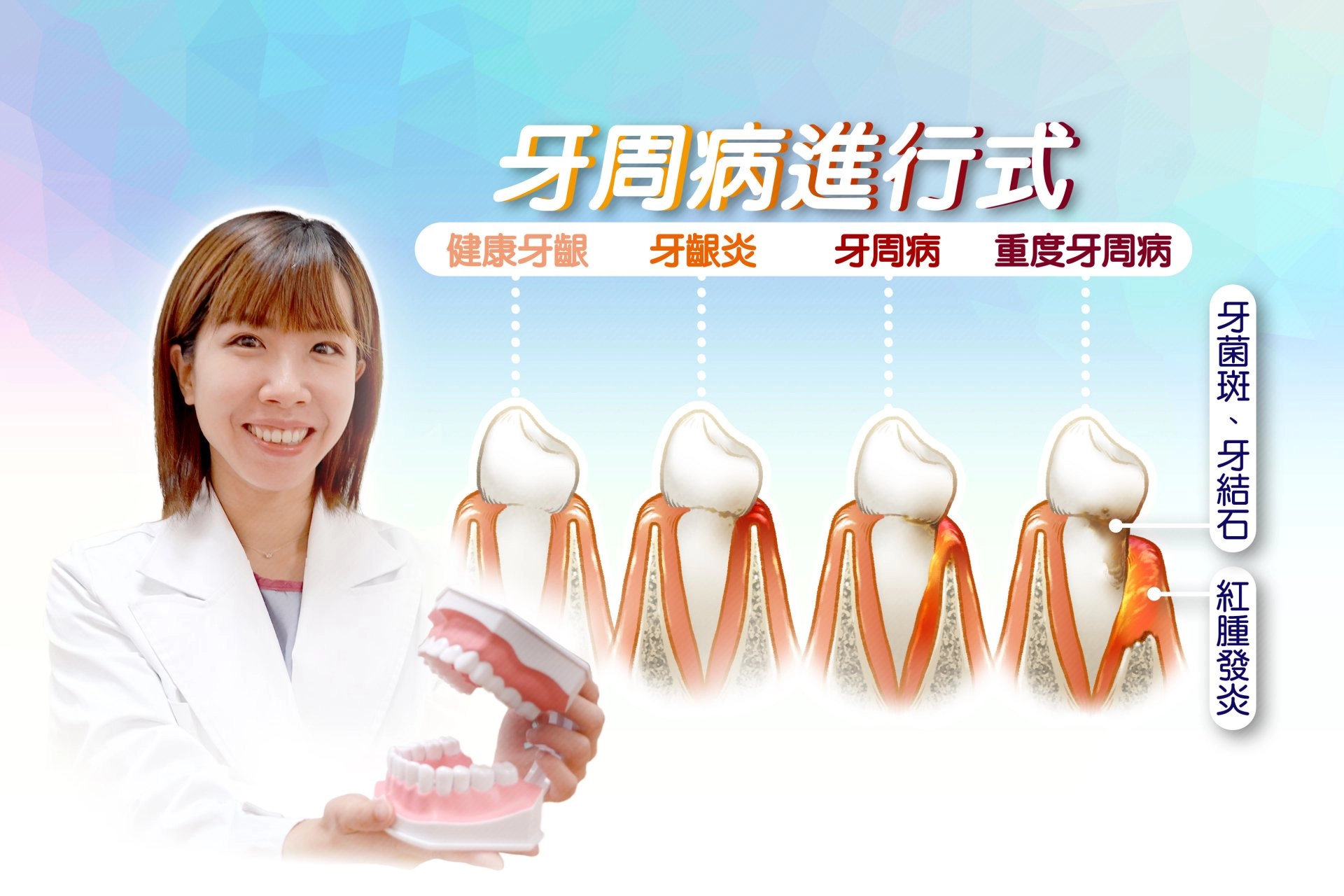 製圖:牙周病進行式。
