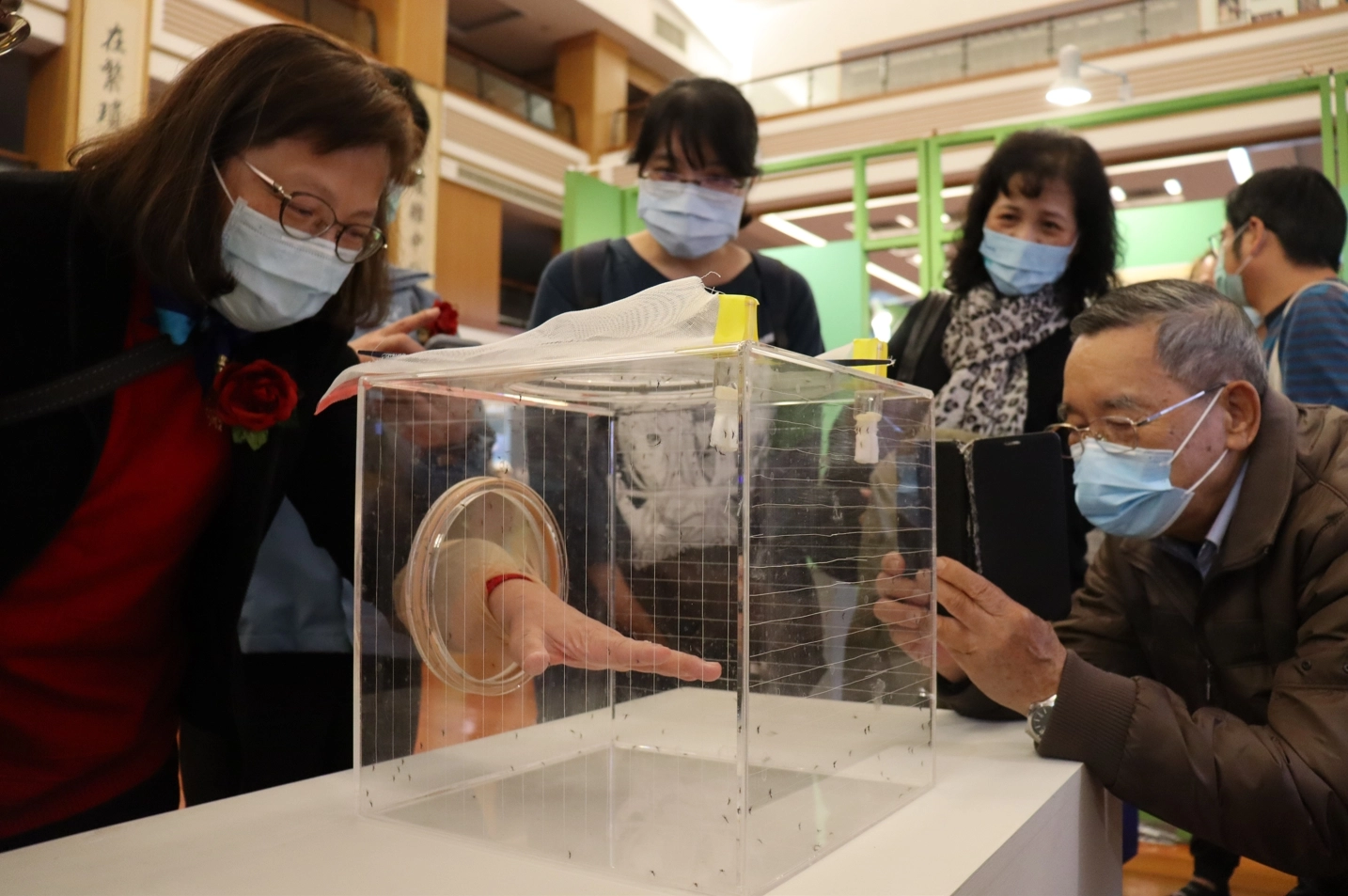 本次除了主題內容外,也展出新興的「沃爾巴克氏菌-登革熱生物防治法」介紹,藉由模型及標本觀察雄、雌蚊特徵差異與習性,帶領觀眾認識防疫新科技。