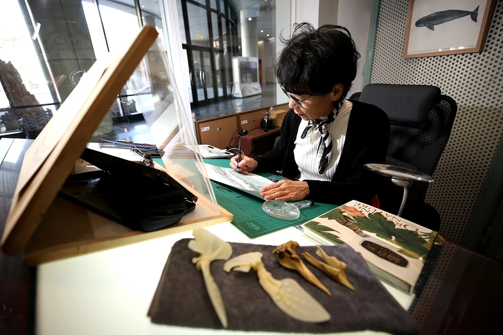 《科畫博物》特展-科學繪圖師彭瑄玉駐館已長達10年以上,觀眾可至演示之窗與老師互動。