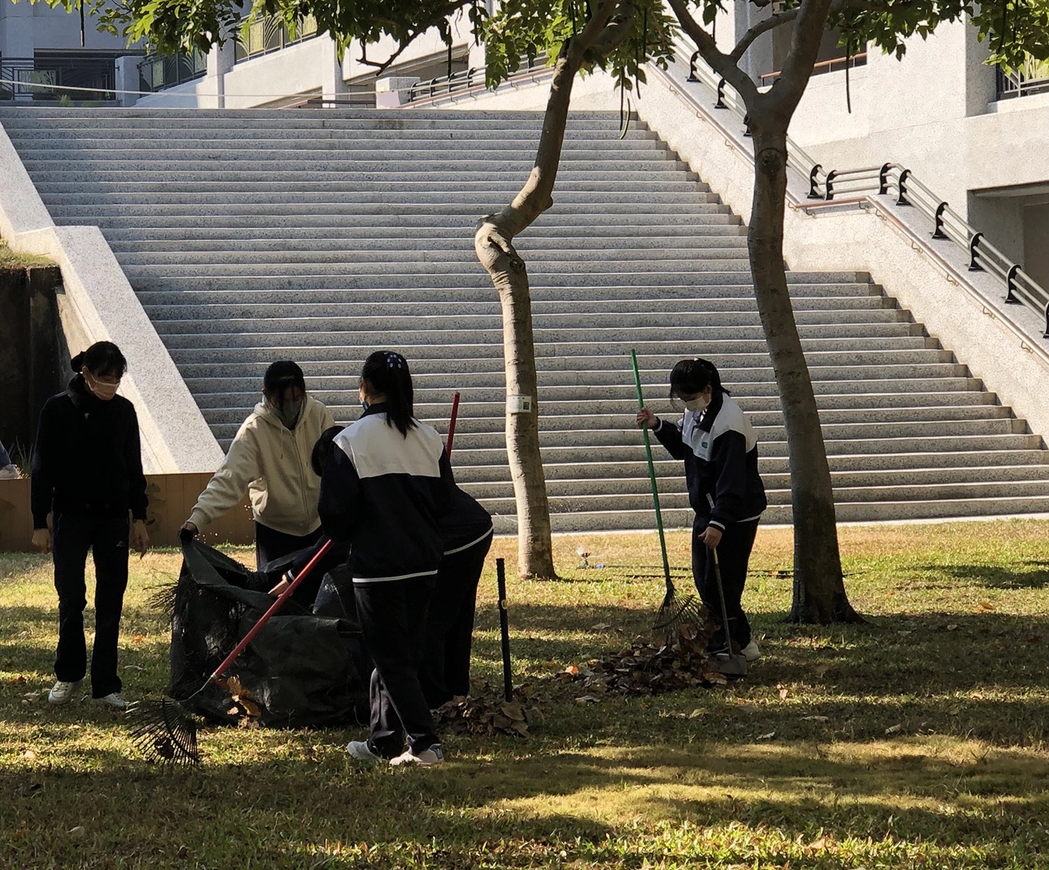 掃除落葉還給草皮自在的伸展空間,猶如掃除內心塵垢,重新出發。