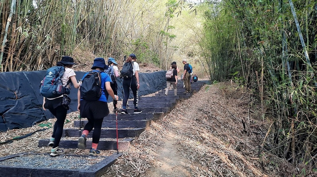 林安森林公園登山步道全新整修完成(南市觀旅局提供)