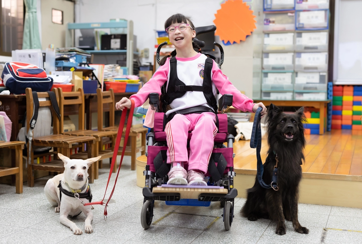 在心輔犬的陪伴下,讓一位腦性麻痺的小女孩,原本從只能走2公尺,變成走20公尺。時間從40分鐘完成2公尺,到25分鐘完成20公尺。而且從頭到尾是笑著走完全程。