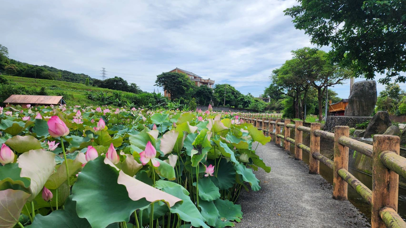 六三社區鄰近清水農地及朱銘美術館,「荷花田間的農村」是其代表景色。
