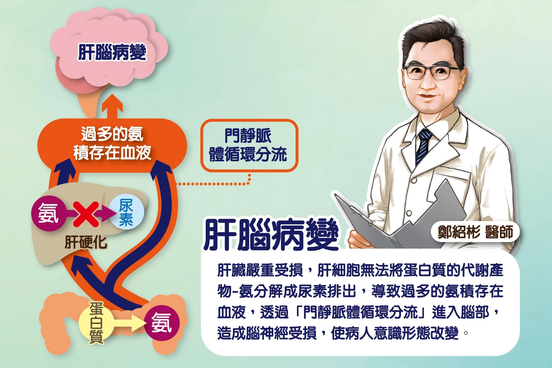 肝腦病變機制圖。