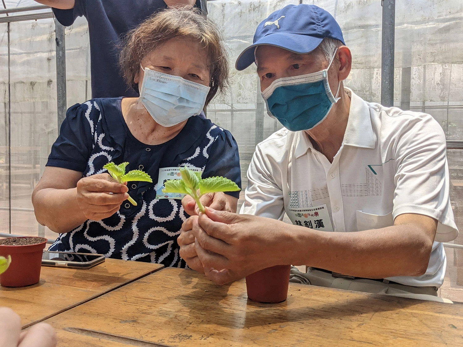 透過引導,林釗漢伯伯與太太開心的體驗種植香草植物、蔬菜摘採、手洗愛玉等活動。(伊甸提供)