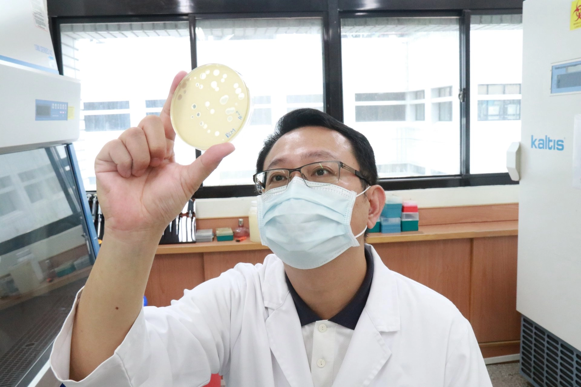 張凱誌主任表示,萬物相生相剋,這類噬菌體可能成為對抗不動桿菌的新方法。