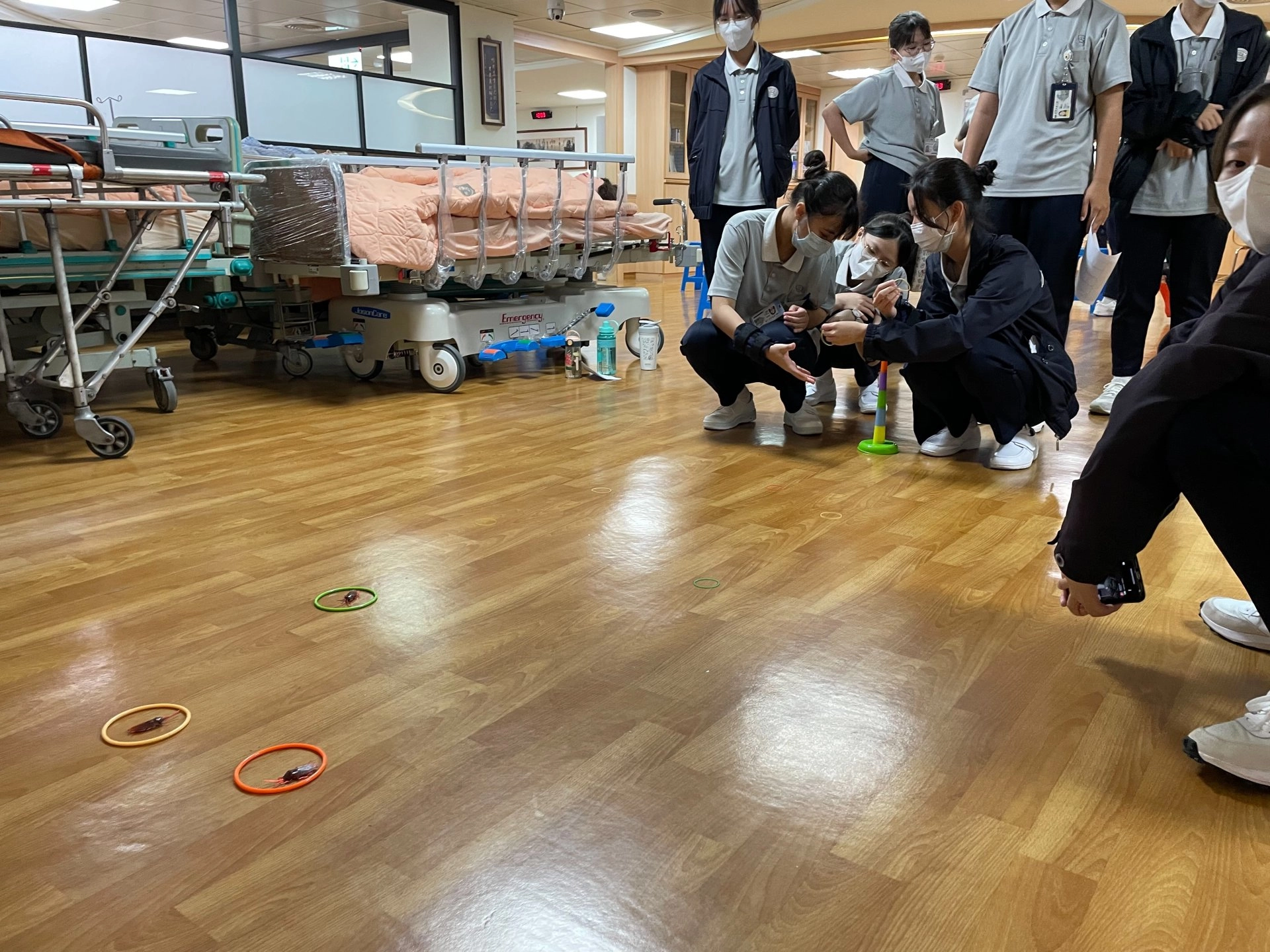 從地點套蟑螂遊戲體驗中,了解要控制力道達成目標的難度。