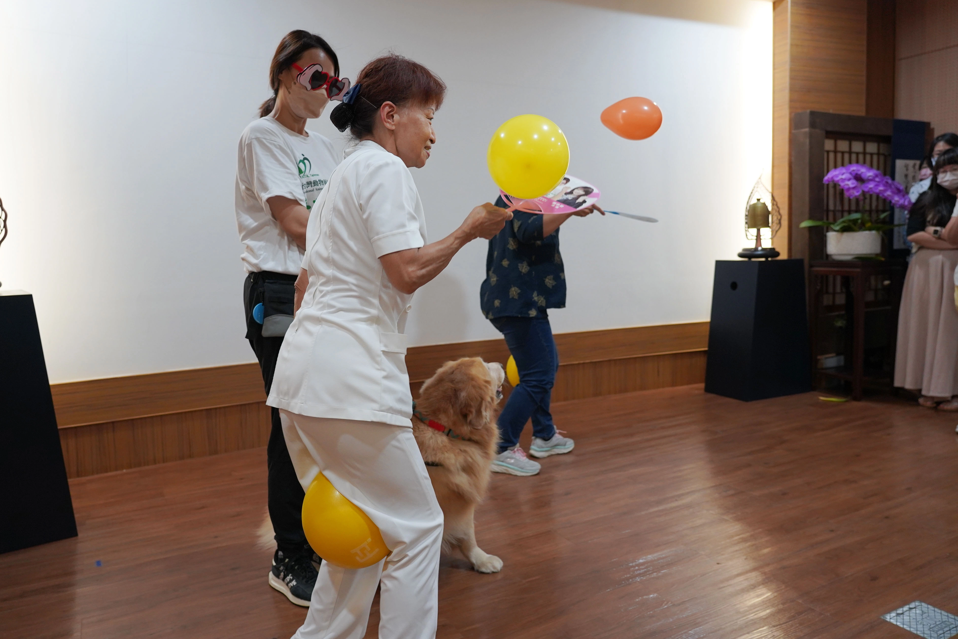 台中慈院護理部顧問張梅芳(前)從動物輔療中體驗如何協助個案訓練肢體復健。