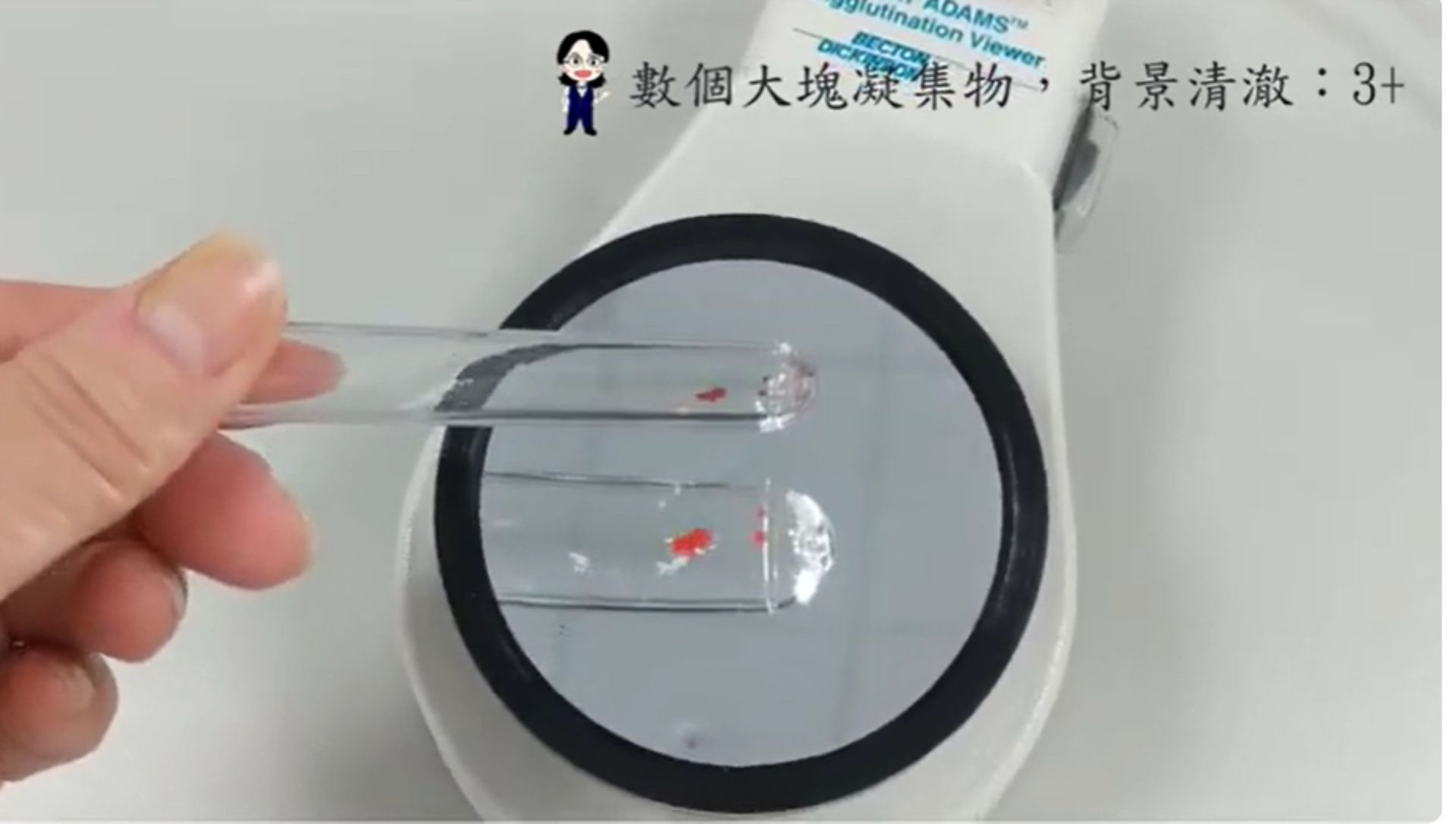 透過數位錄影可以清楚看到實驗過程,還可以回看