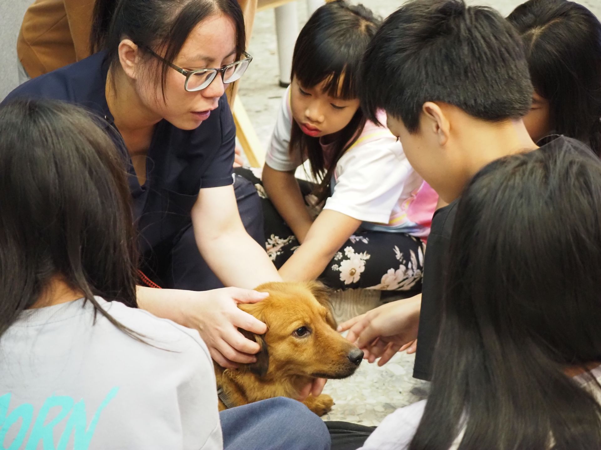 花蓮縣狗貓躍動園區獸醫師教導兒少與狗狗互動