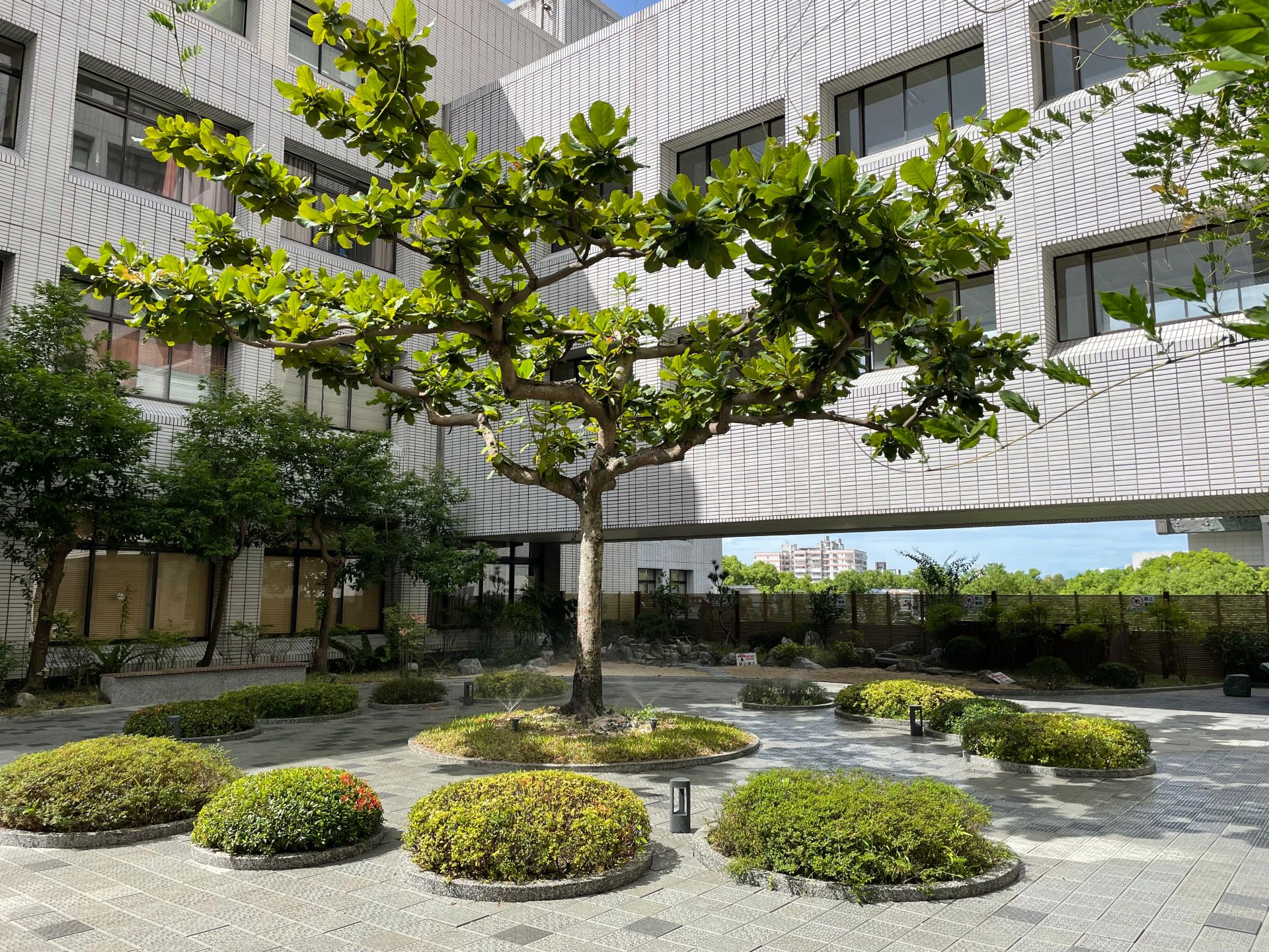 在大愛、感恩兩棟建築物間設置空中花園,近年更將地面改以回收材質製成的連鎖磚,具透水性,能減少影響房屋結構。