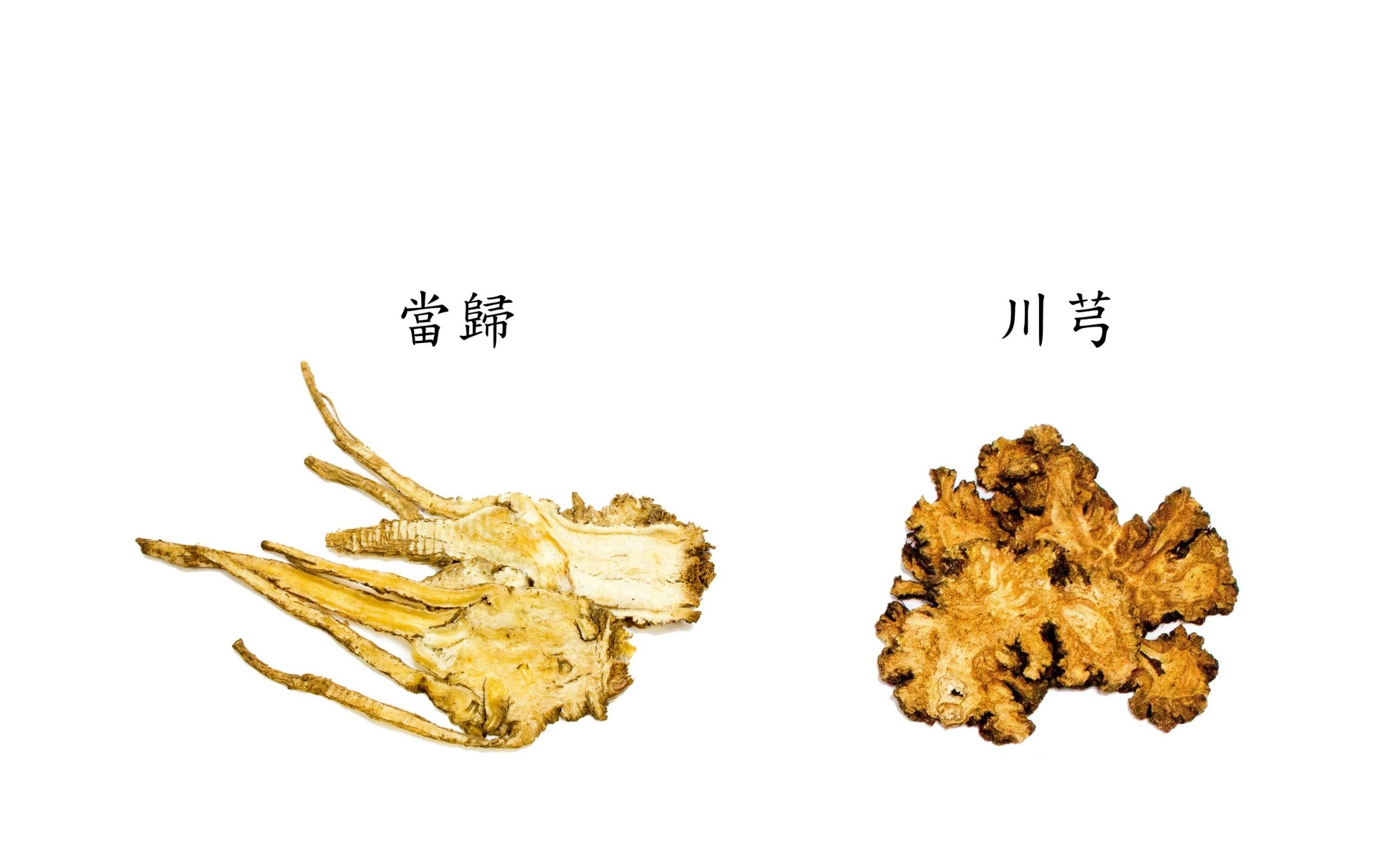 鄒牧帆醫師說,服用中藥也可以調控高血脂,中醫常使用例如丹參、山楂、三七、川芎、當歸和益母草等。
