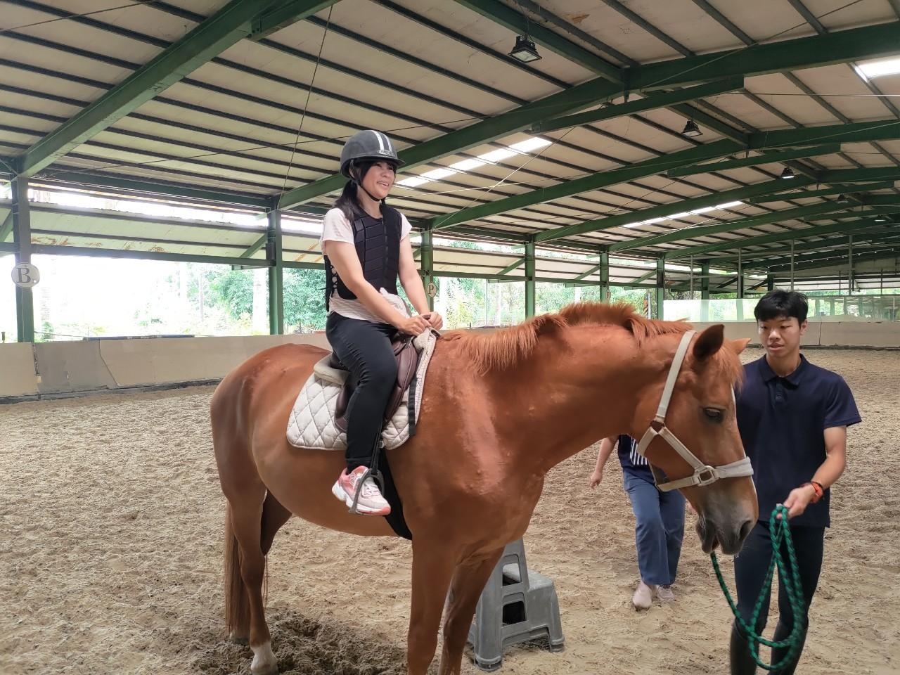 小孩騎迷你馬,大人騎大馬
