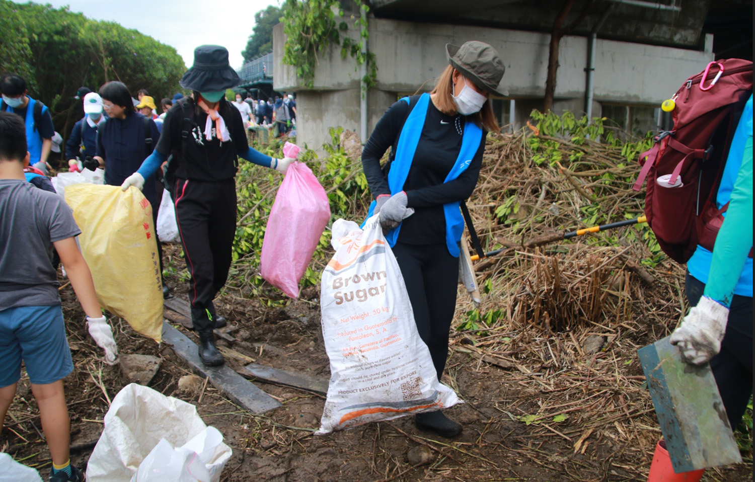 淡水河口的紅樹林泥濘地攔下許多垃圾,這些垃圾就一直在樹林中跟水筆仔、彈塗魚、招潮蟹共生。