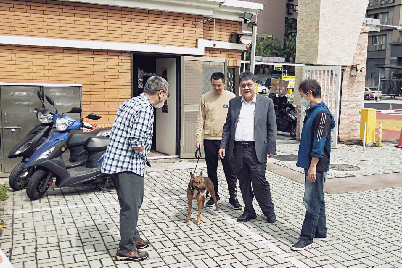 校方迎接校園犬
