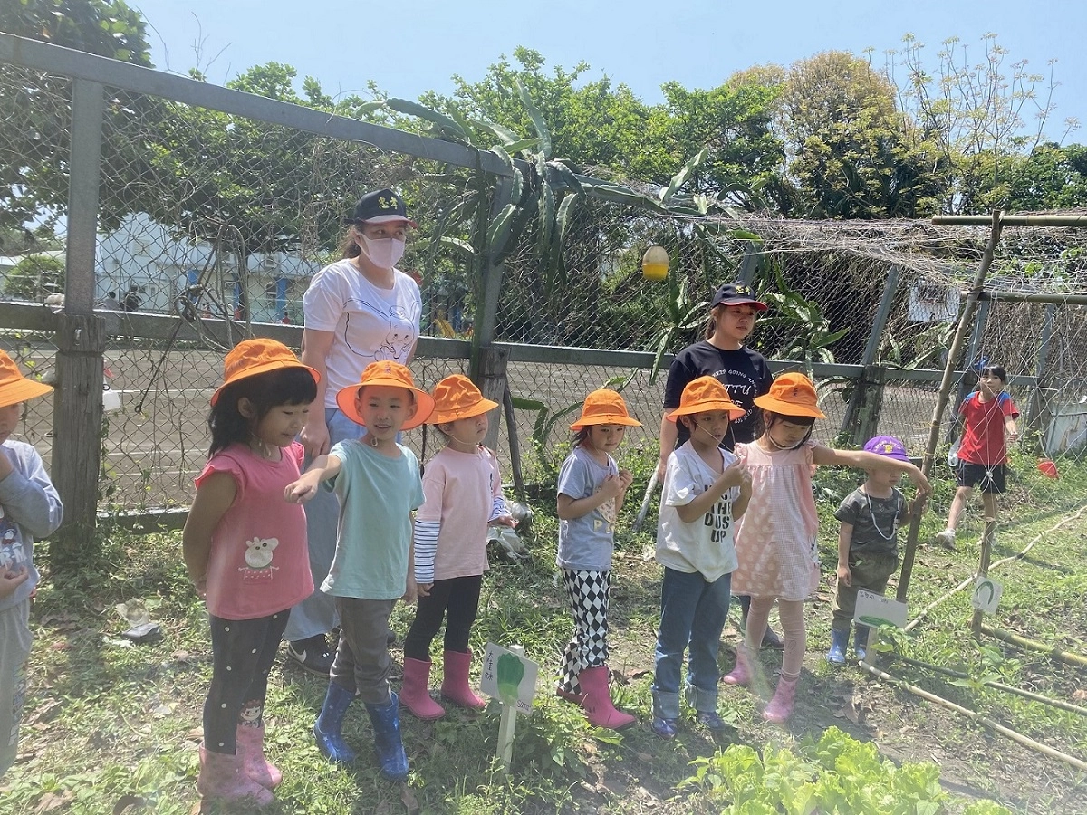臺東縣忠孝國小附幼體驗傳統農法,學習老祖先的智慧。