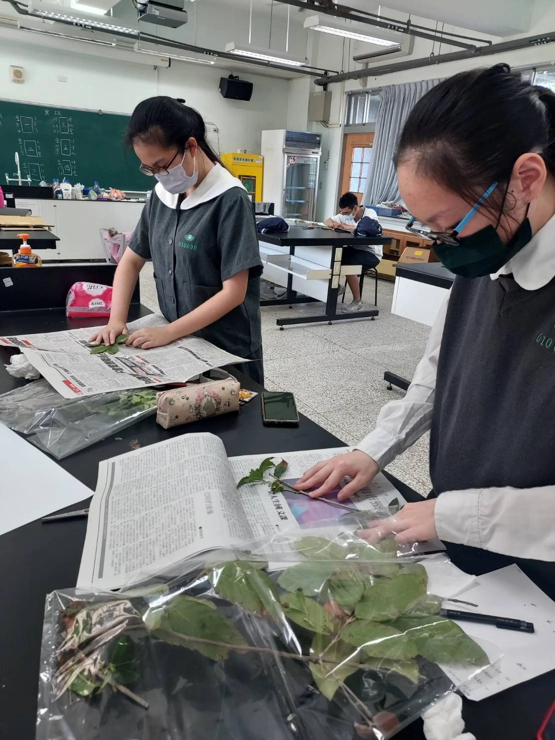 多元選修課程中,到戶外觀察植物,收集拓印葉子,藉由不同的媒材創作,培養生活美學。