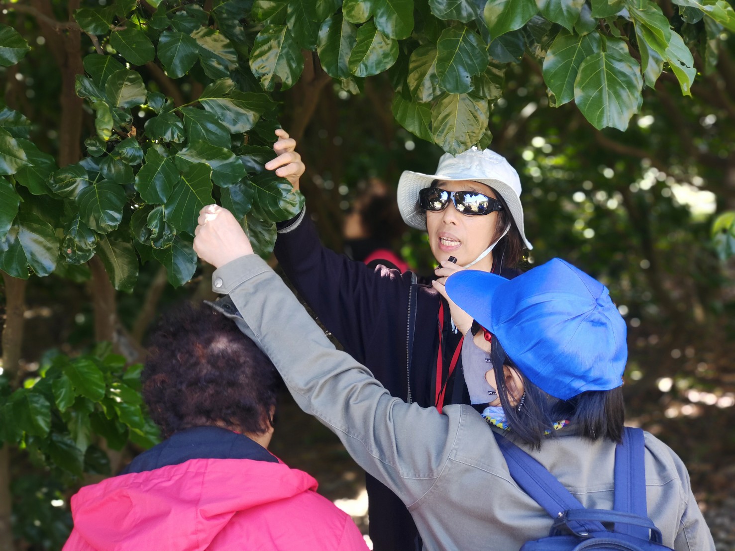 生態導覽安排導覽員郭美慧帶領大小朋友們,細細漫遊新北市美術館園區,尋找棲息在此的動植物們。