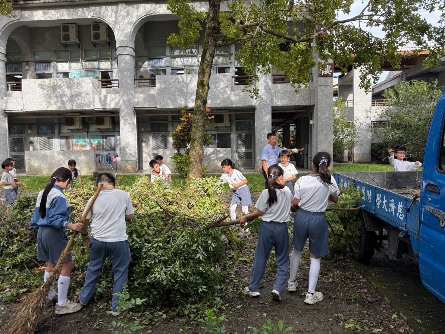 學生一早到校先清除小樹枝