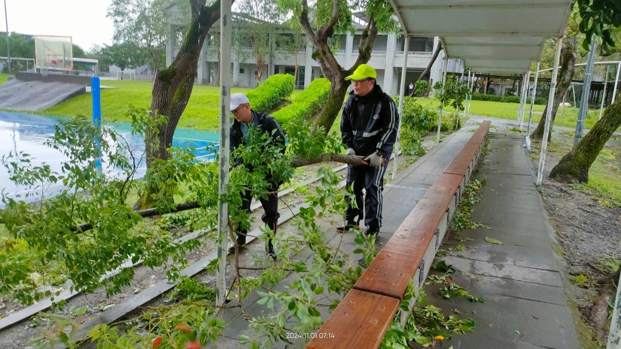 同心協力搬運樹枝
