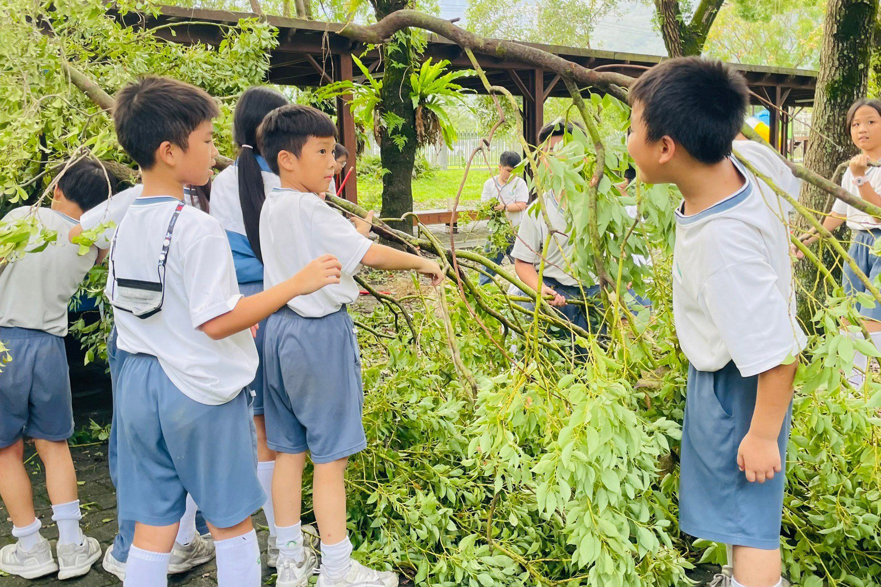 螞蟻雄兵一同清除校園